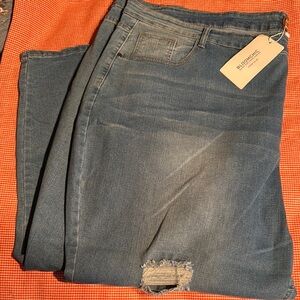 Bloom ChicLight Blue Denim Jeans